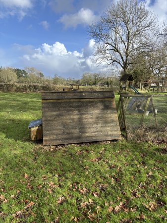 Photo for ad 185616