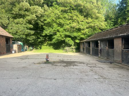 Photo for ad 186246