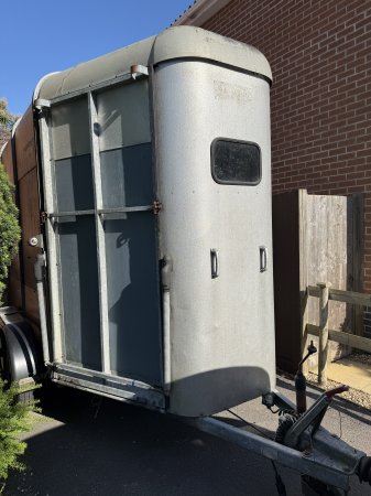 Photo for ad 186564
