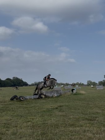 Photo for ad 187127