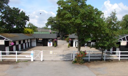 Photo for ad 187351