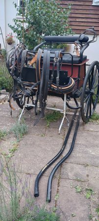 Photo for ad 187356