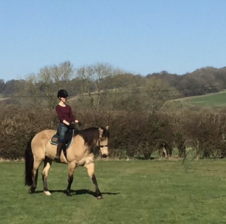 Photo for ad 189287