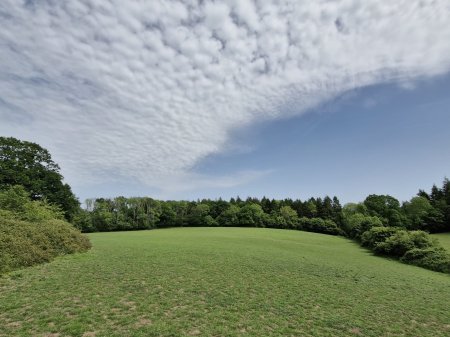 Photo for ad 189625