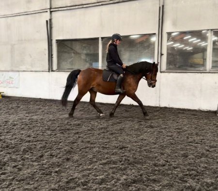 Photo for ad 189699