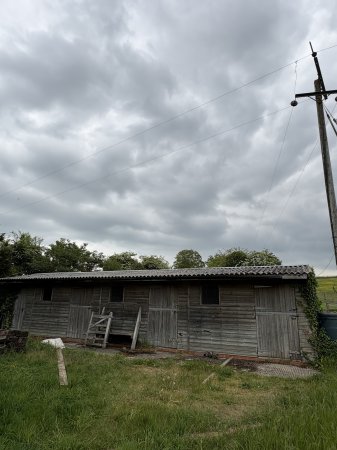 Photo for ad 189730