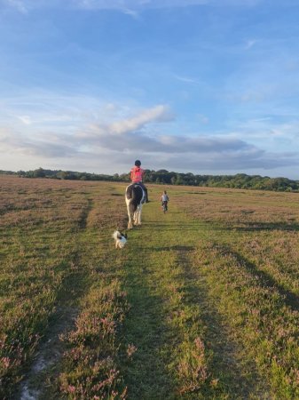 Photo for ad 189812