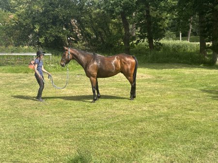 Photo for ad 189868