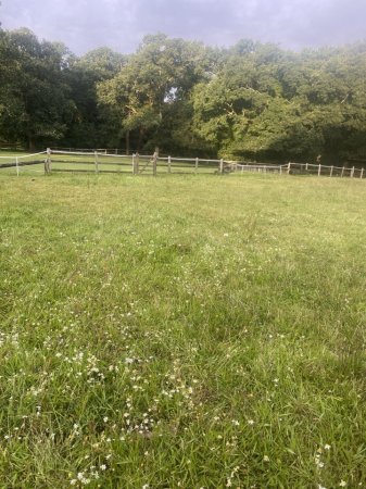 Photo for ad 190279