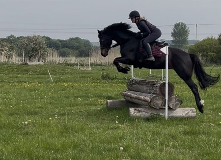 Photo for ad 190392