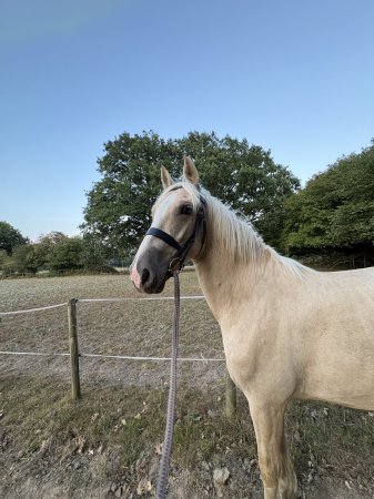 Photo for ad 190394