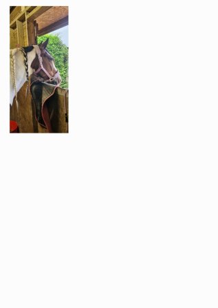 Photo for ad 190396