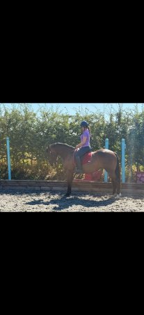 Photo for ad 190494