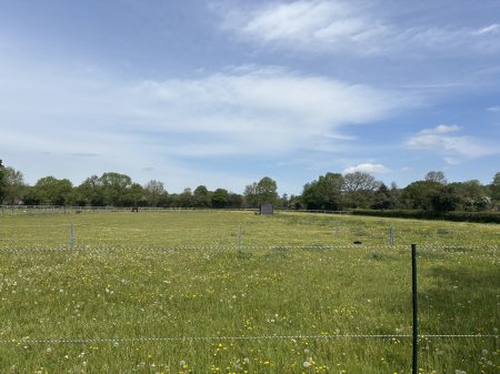 Photo for ad 190522