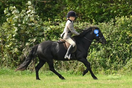 Photo for ad 190567