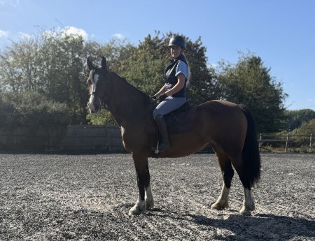 Photo for ad 190593