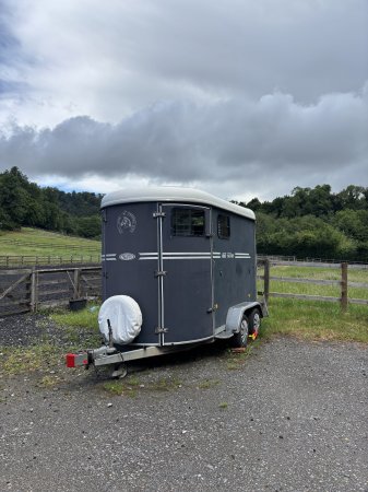 Photo for ad 190596