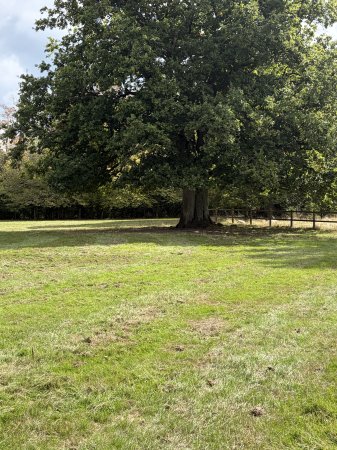 Photo for ad 190671