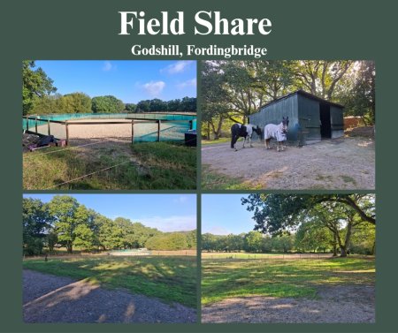 Photo for ad 190752
