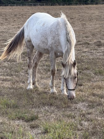 Photo for ad 190755
