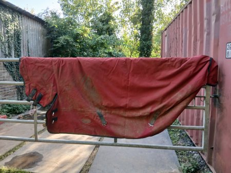 Photo for ad 190803