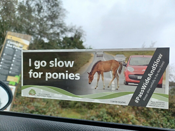 NFNPA Window Sticker